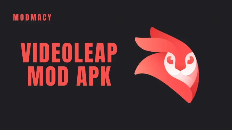 VideoLeap MOD APK